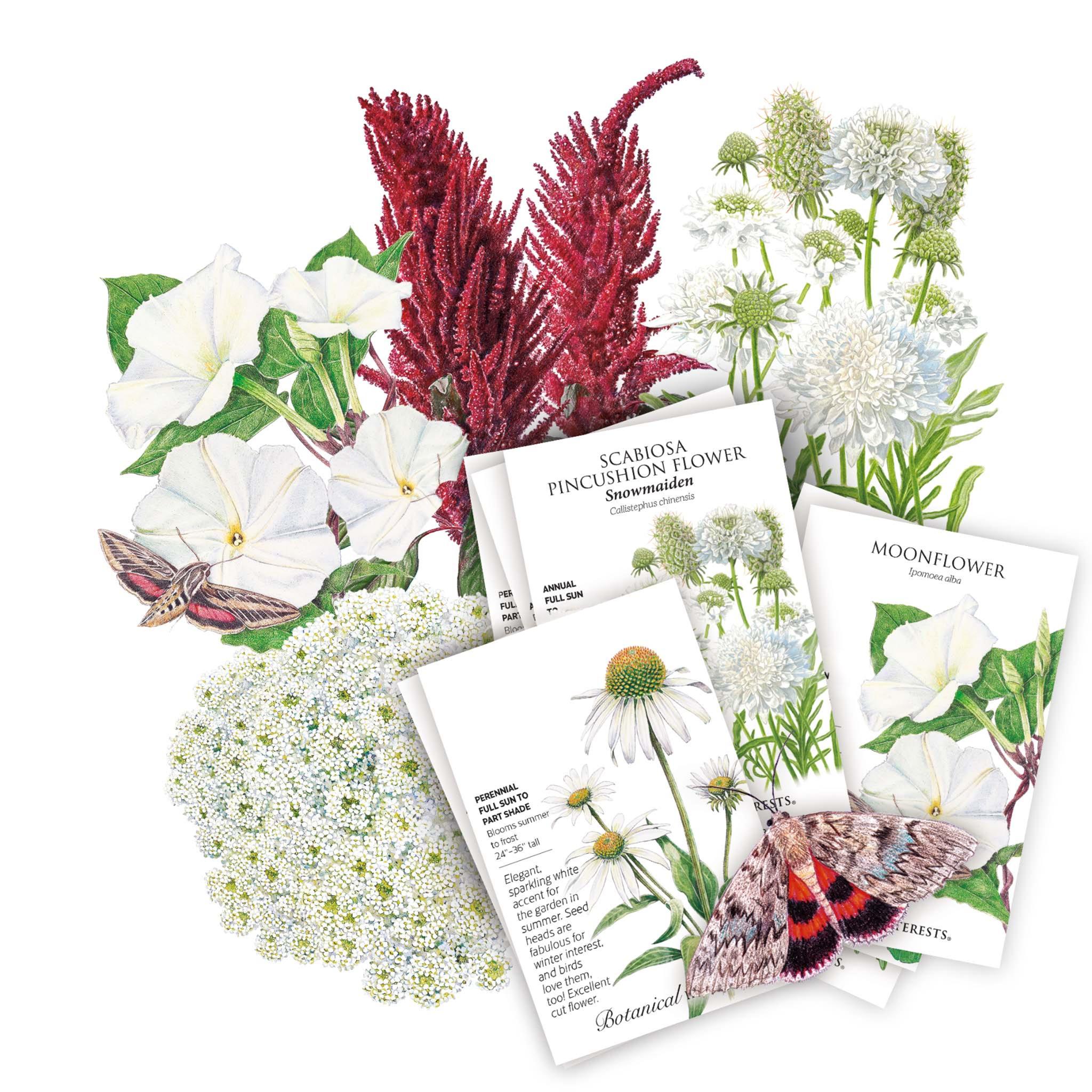 The Moon Garden Seed Bundle – Botanical Interests