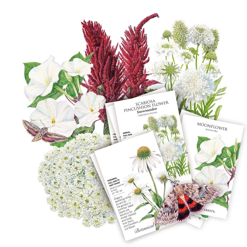 moon flower seeds for sale The Moon Garden Seed Bundle – Botanical Interests