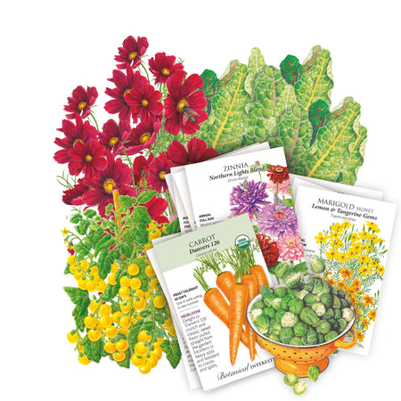 nightingale plant seeds Northeast Seed Bundle – Botanical Interests