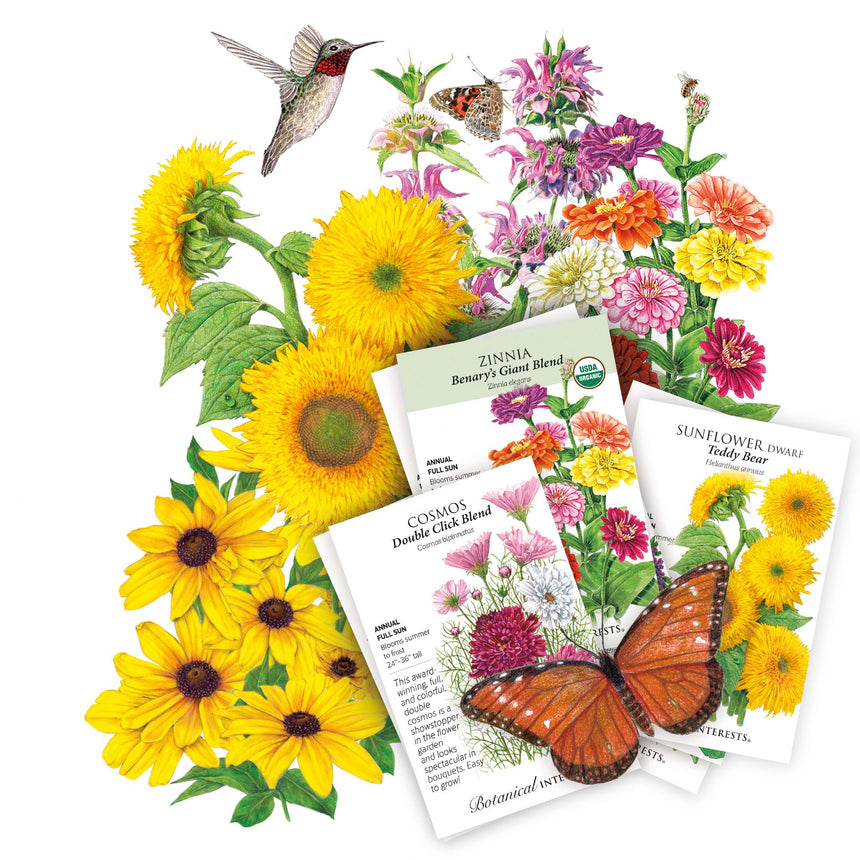 pollinator garden seeds Pollinator's Paradise Seed Bundle – Botanical Interests