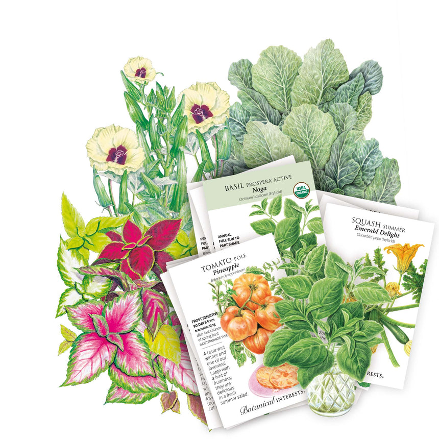 vegetable plant seed Southeast Seed Bundle