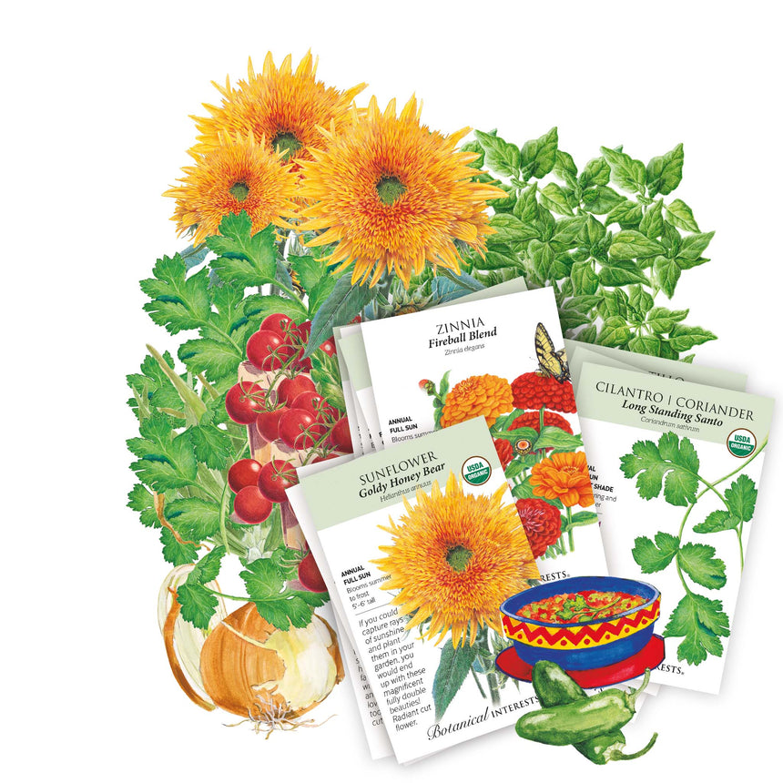 buy summer flower seeds Southwest Seed Bundle – Botanical Interests