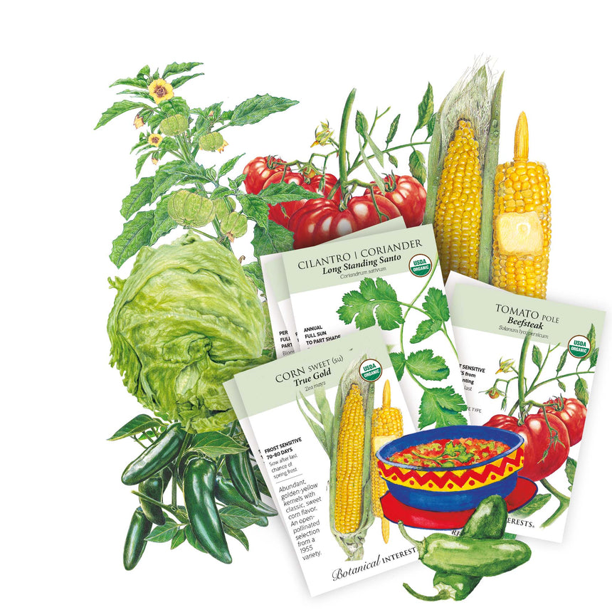 The Taco Night Seed Bundle
