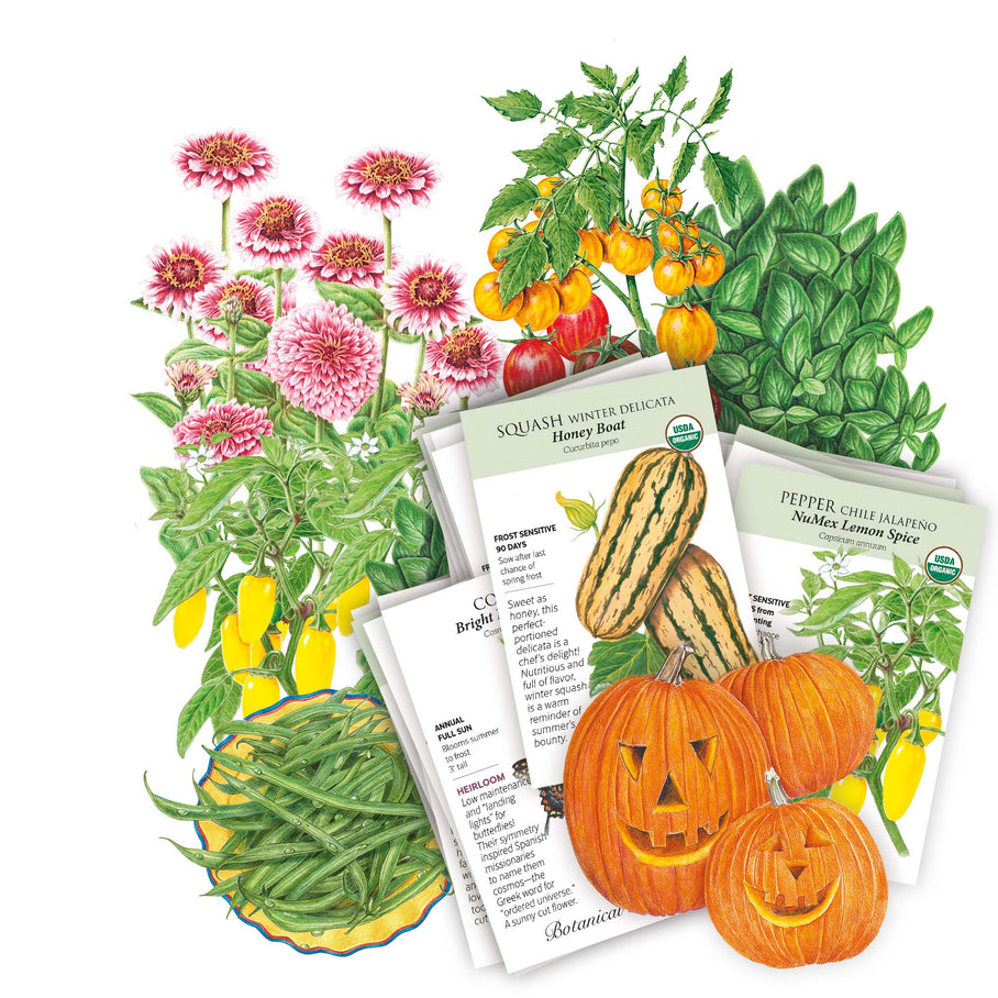 Warm Season Garden Seed Bundle – Botanical Interests