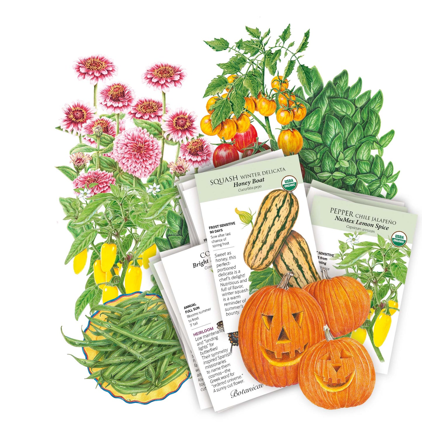 Warm Season Garden Seed Bundle