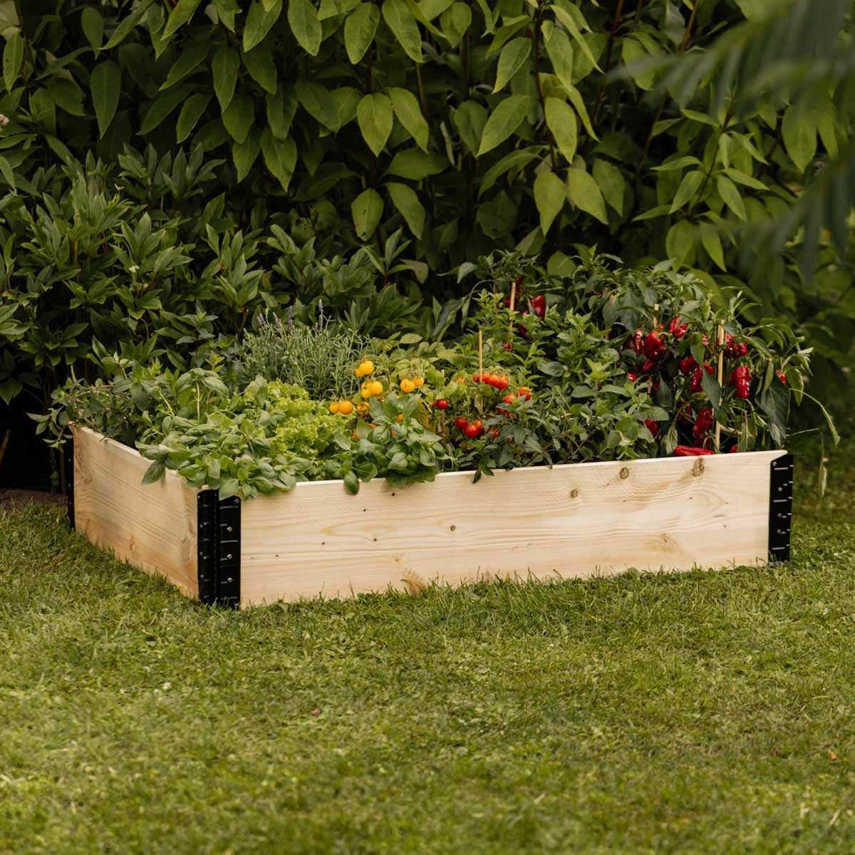 GardenBox