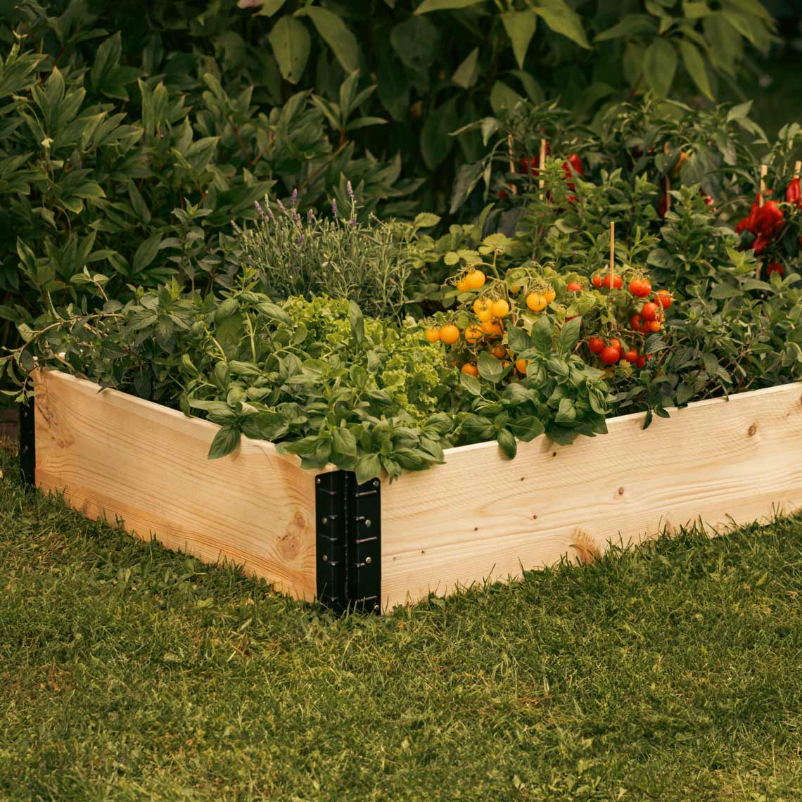 GardenBox