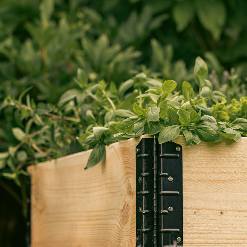 GardenBox
