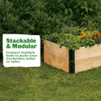 GardenBox