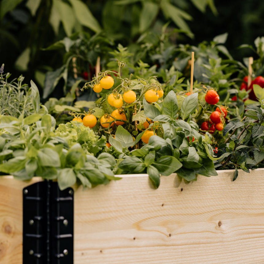 GardenBox