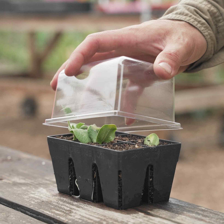 Epic Humidity Domes & Bottom Trays (6-Cell)