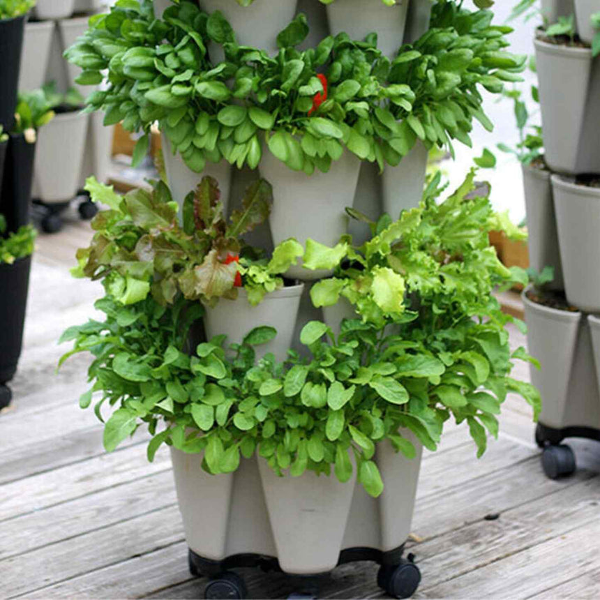 vertical planter indoor GreenStalk 5-Tier Vertical Planter