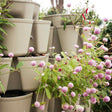 GreenStalk 7-Tier Vertical Planter
