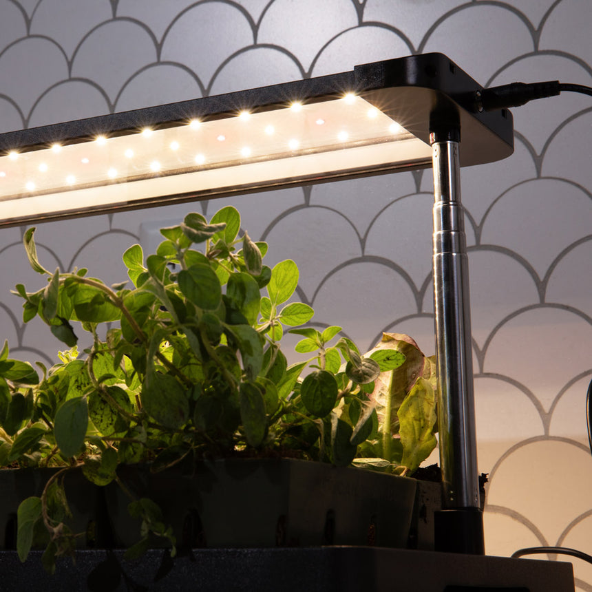indoor lights for growing plants Epic Grow Light with Tray – Botanical Interests