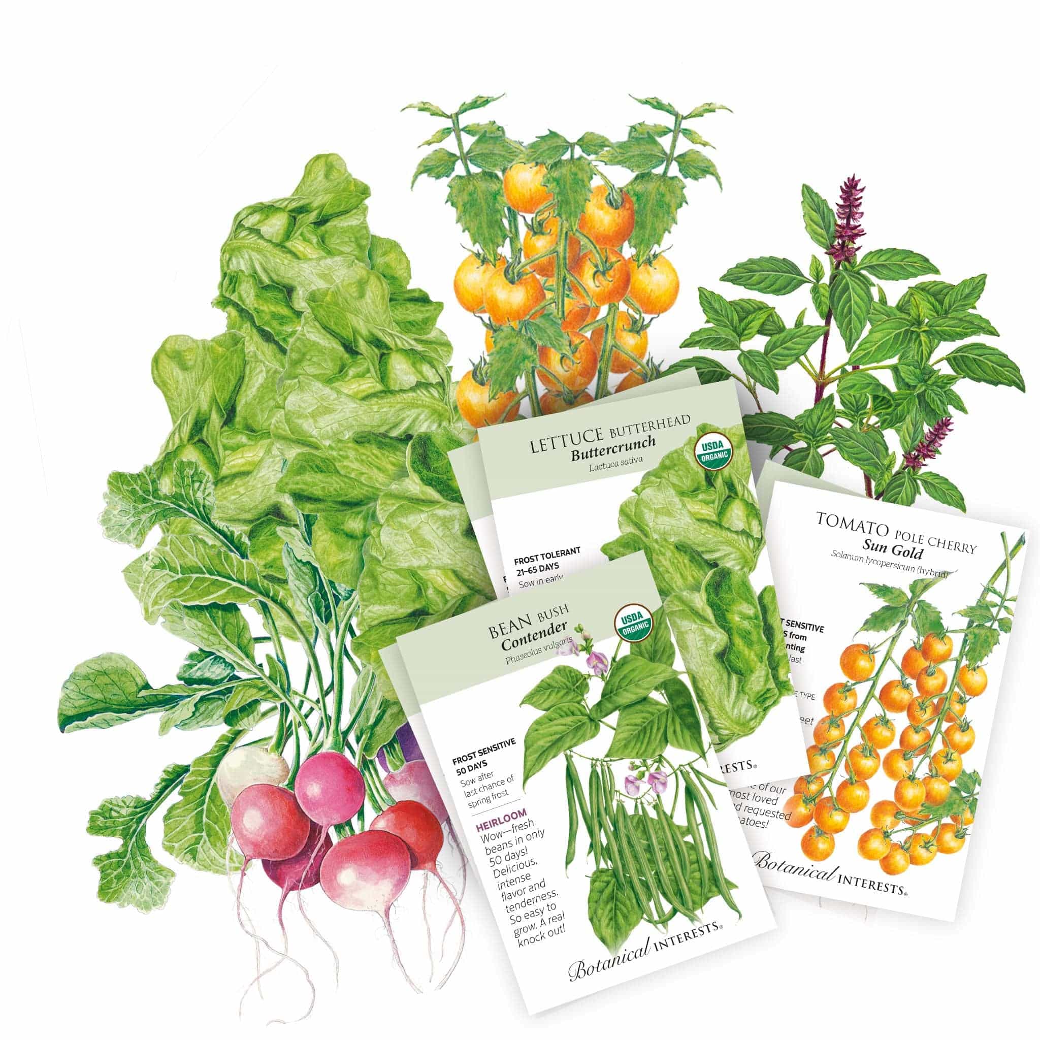 Just Tell Me What to Plant Starter Pack – Botanical Interests