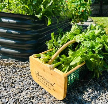 Botanical Interests High Quality Seeds and Garden Products
