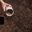 Midwest Prairie Splendor Flower Mix Seed Shaker