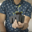 The Essential Seed Starting Kit