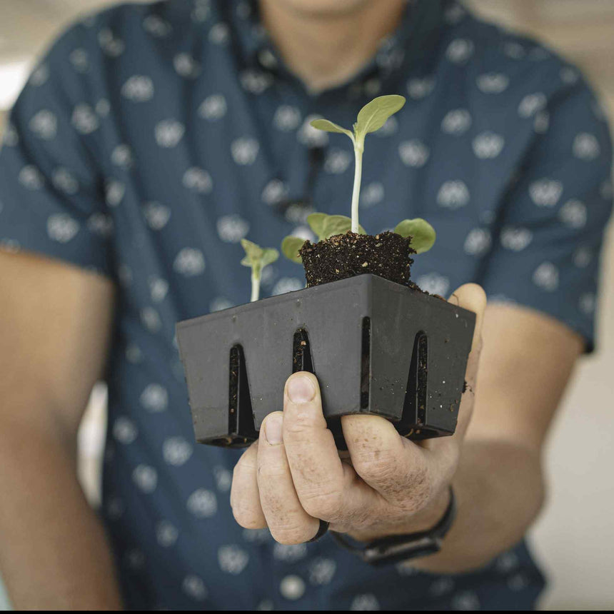 The Essential Seed Starting Kit