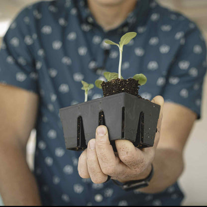 The Essential Seed Starting Kit