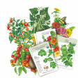 Small Space, Big Harvests Starter Mix