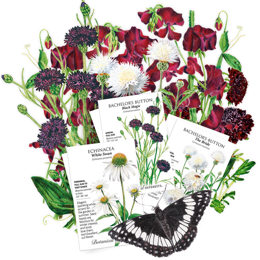 The Goth Garden