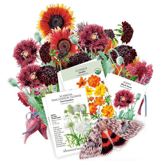 The Heavy Metal Garden