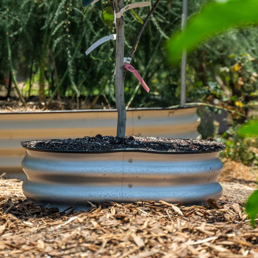 Metal Tree Surround - 8” Tall