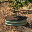 Metal Tree Surround - 8” Tall