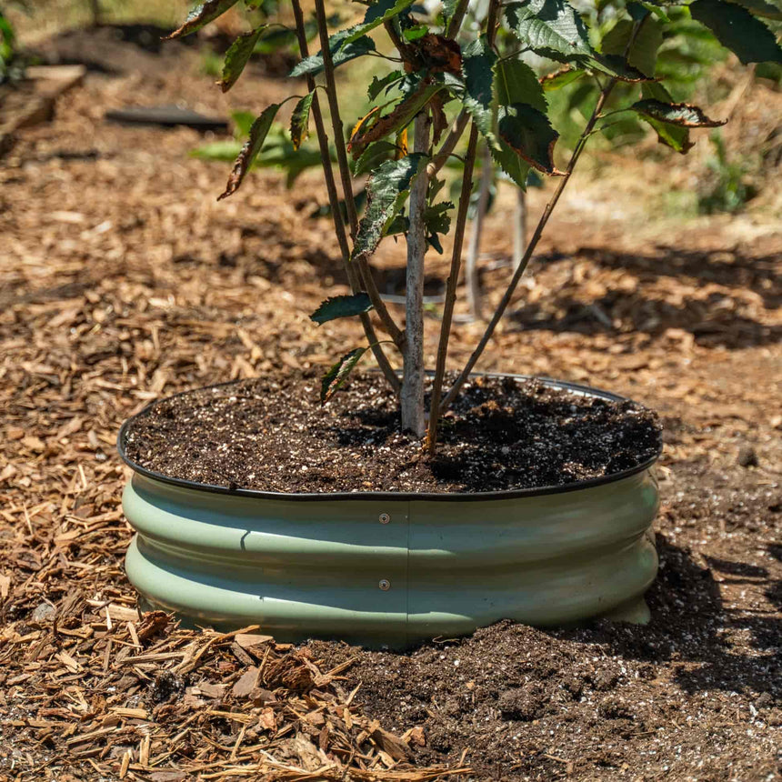 Metal Tree Surround - 8” Tall