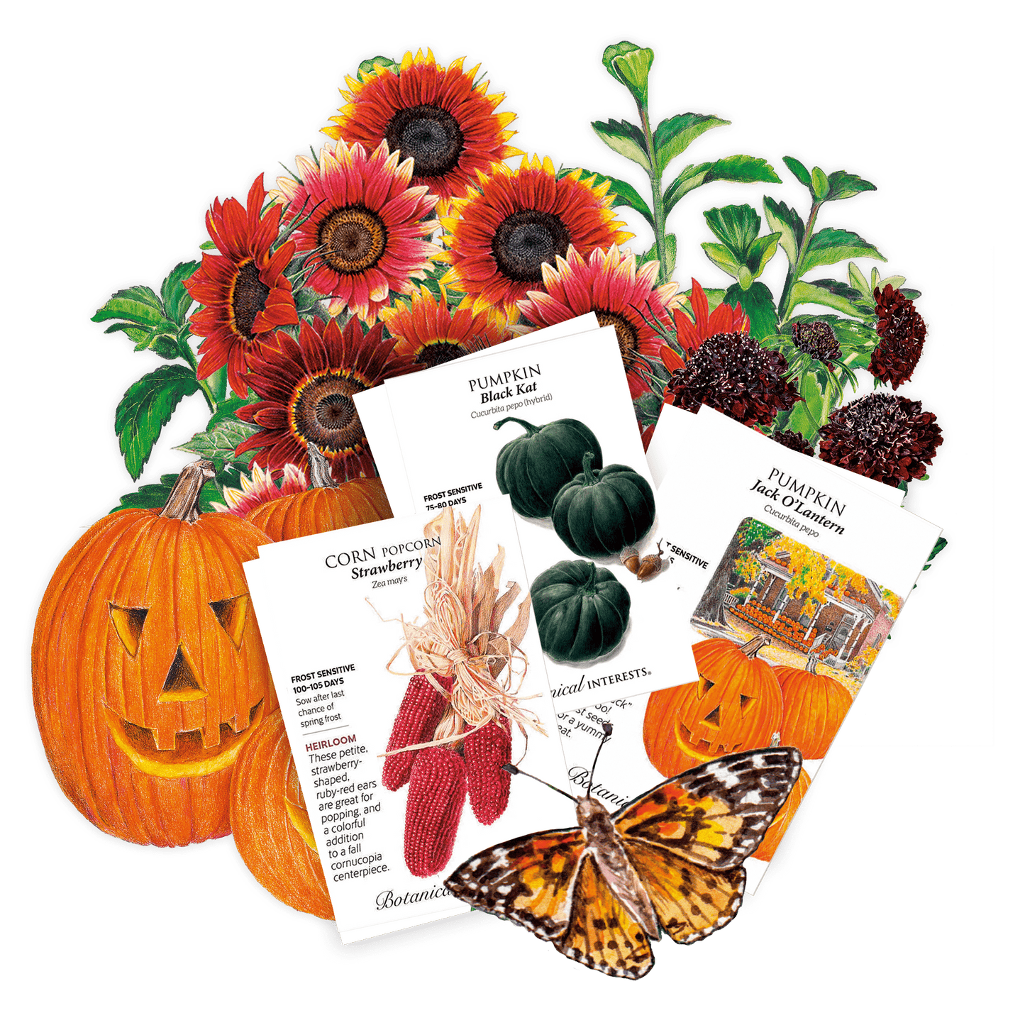 Trick or Treat Garden