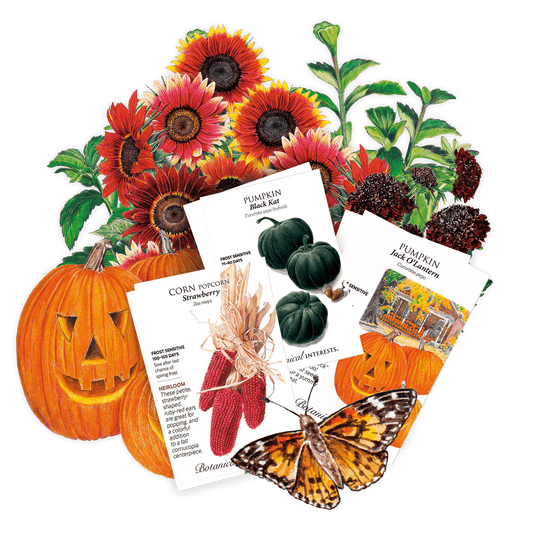 Trick or Treat Garden