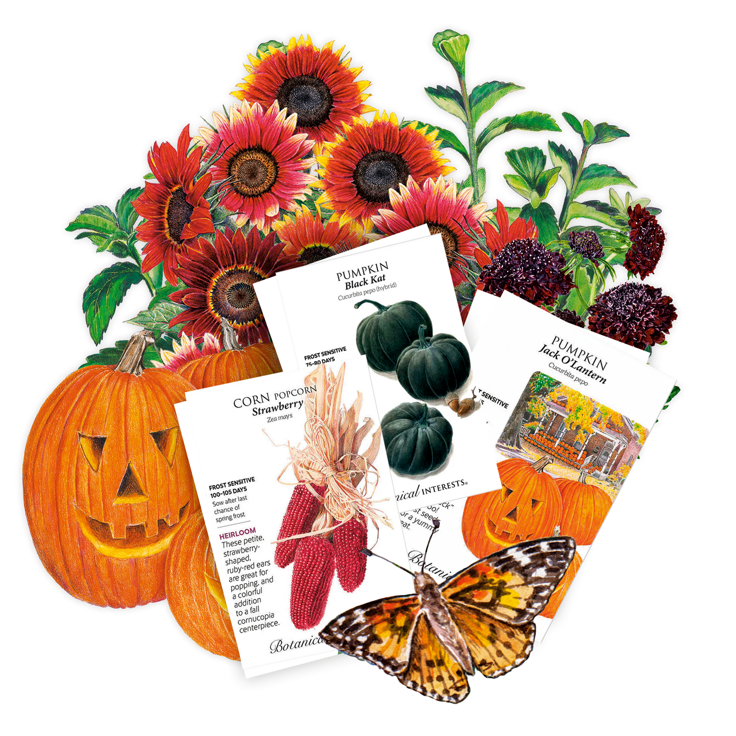 Trick or Treat Garden