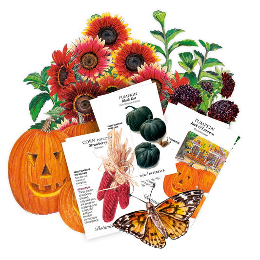 Trick or Treat Garden