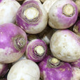 American Purple Top Rutabaga Seeds