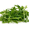 Arugula Baby Greens Seeds