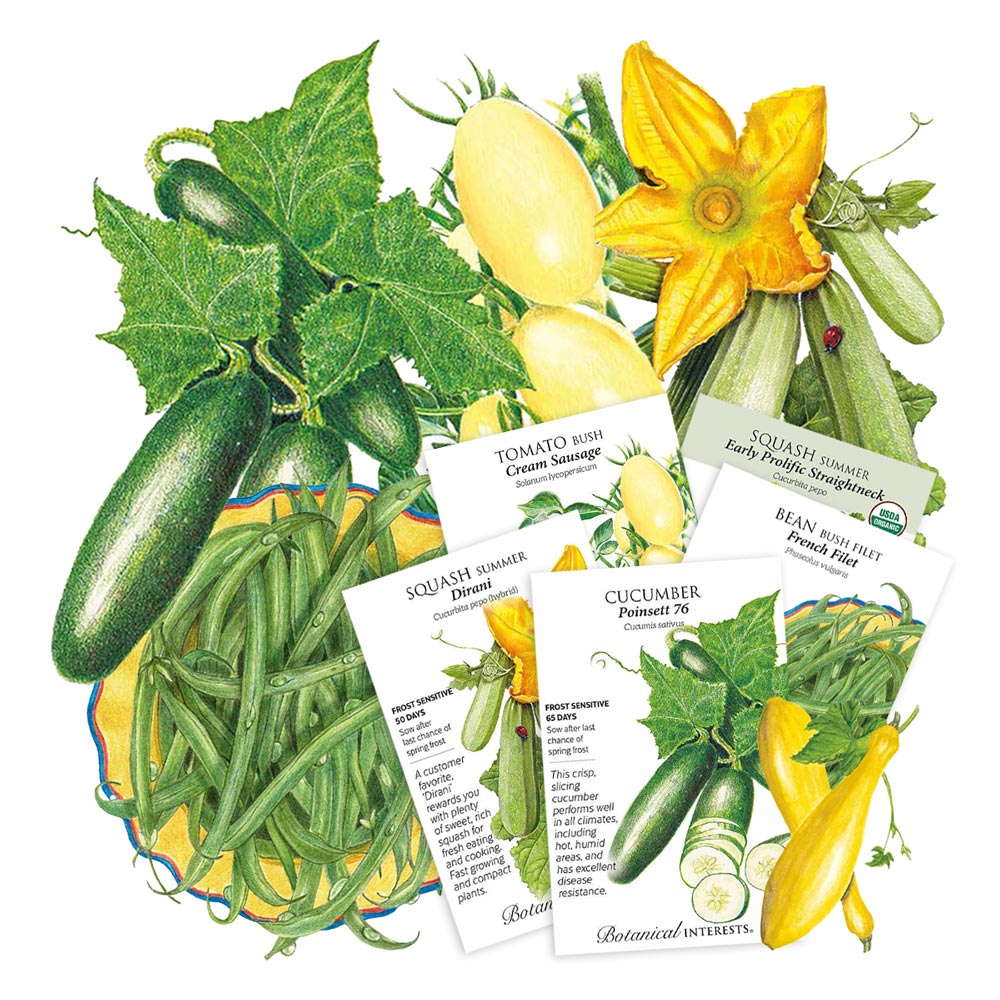 野菜 Sc Big Yields – Botanical Interests