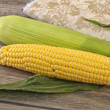 Buttergold Sweet Corn Seeds