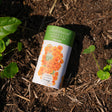 Orange California Poppy Seed Shaker