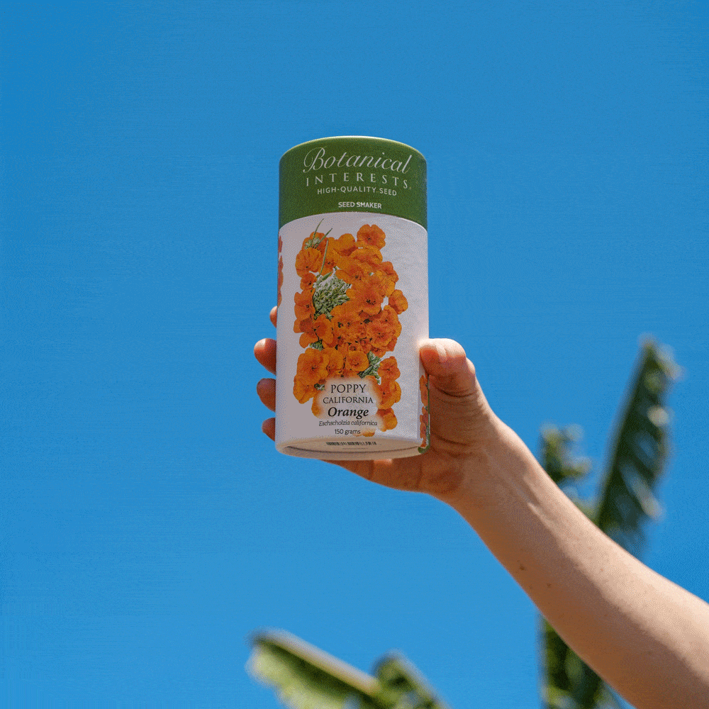 Orange California Poppy Seed Shaker