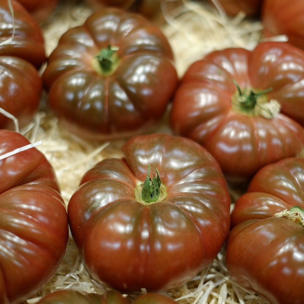 Cherokee Carbon Pole Tomato Seeds