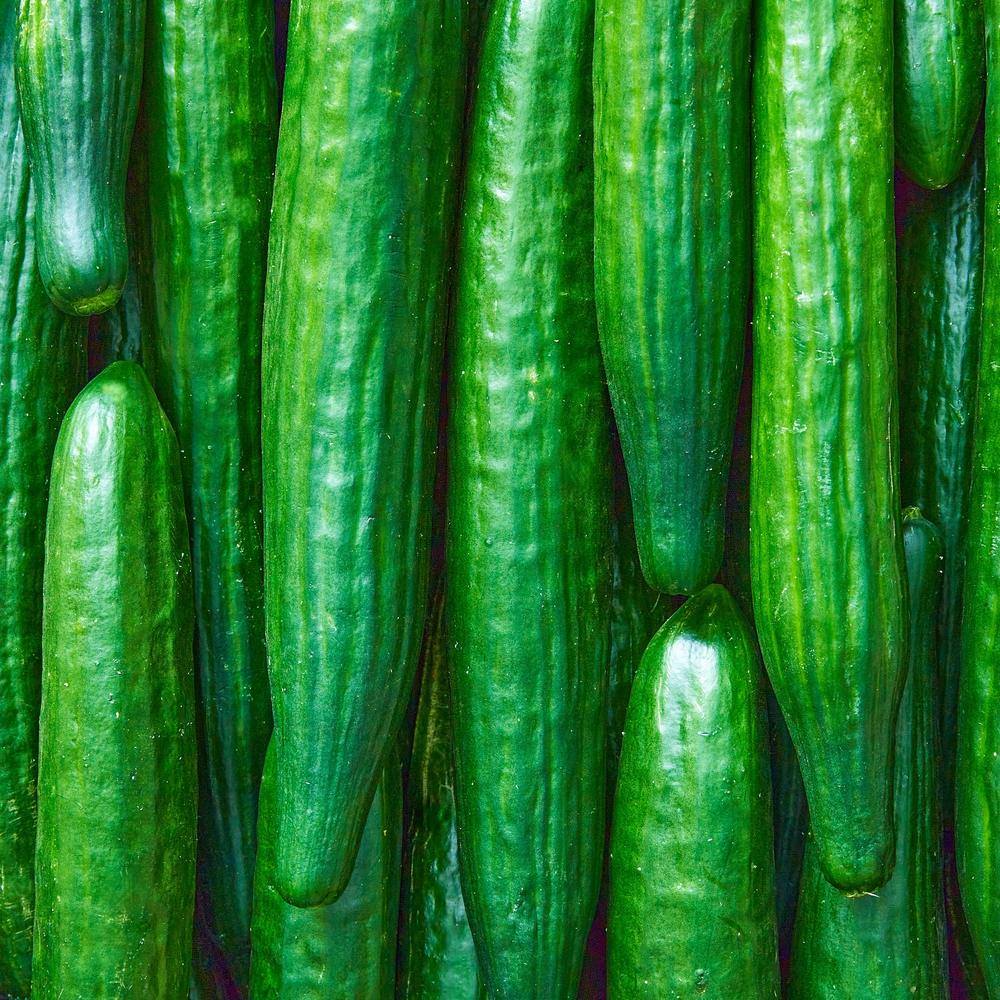 Telegraph Improved Cucumber Seeds