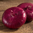 Flat of Italy Bulb Cipollini Onion Seeds
