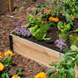 GardenBox