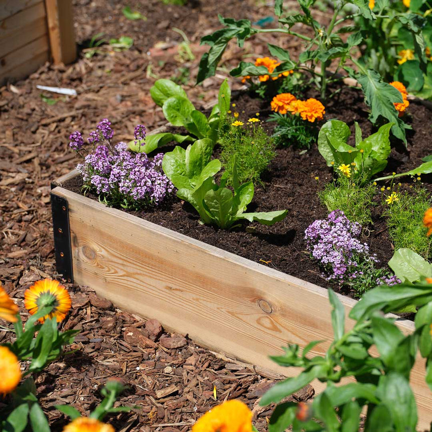 GardenBox