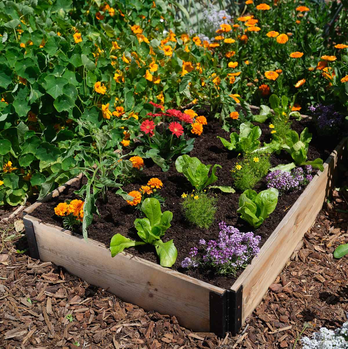 GardenBox