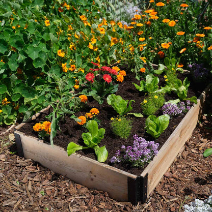 GardenBox