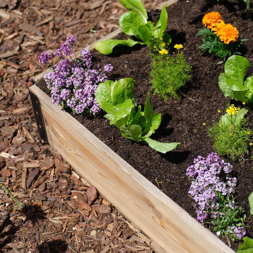 GardenBox