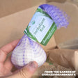 Inchelium Red Softneck Garlic - USDA Certified Organic