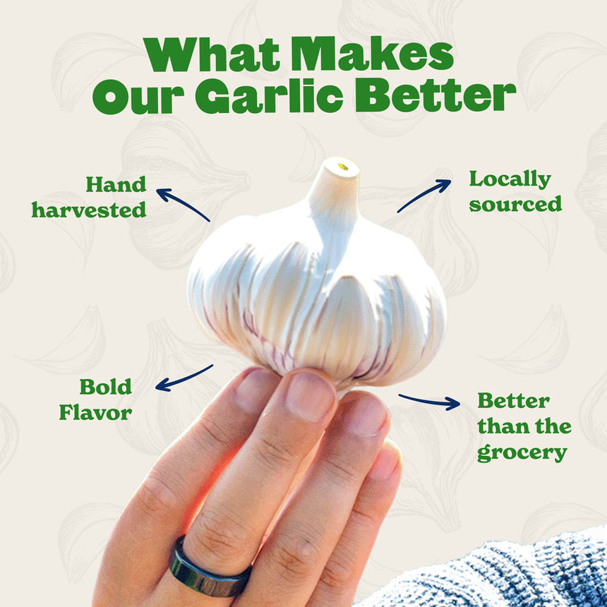 Blossom Hardneck Garlic - USDA Certified Organic